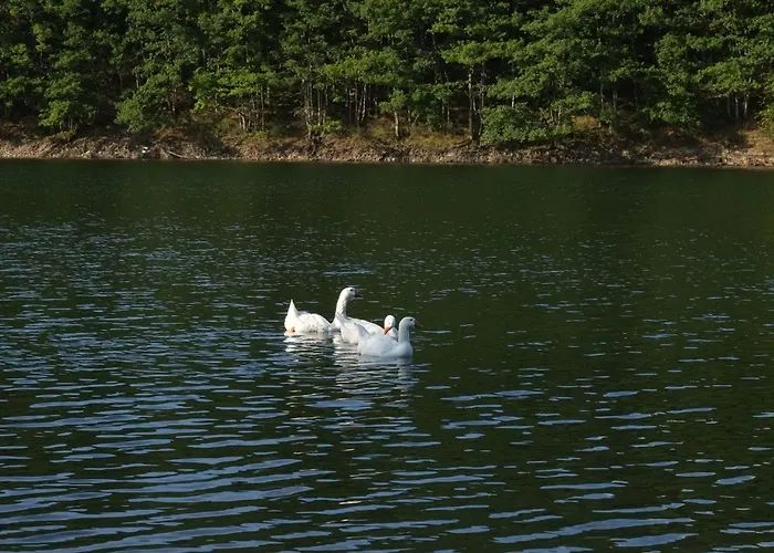 La Diligence Apartment *