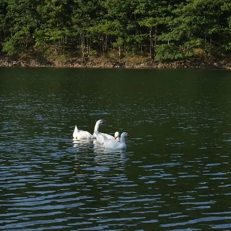 La Diligence 公寓 *